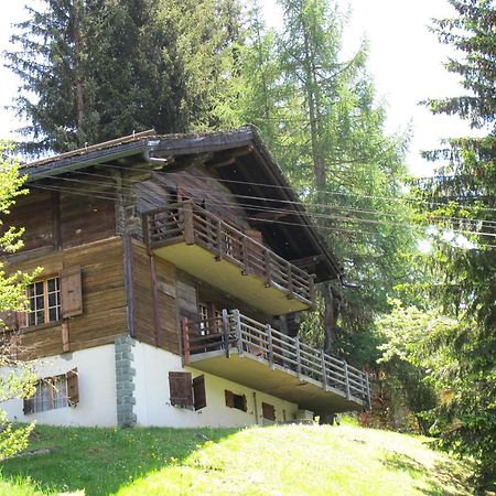 Chalet Nouchka Verb120 Βίλα Verbier Εξωτερικό φωτογραφία